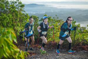 BIB: 2520, 
                            <button type="button" onclick="openModal(21875722)" class="btn btn-primary btn-sm float-right btn-popup" data-toggle="modal" data-target=".modal-high-quality">
                        <i class="fas fa-shopping-cart"></i> Add to Cart
                    </button>
                                            <button type="button" onclick="isThisMe(21875722, true)" class="btn btn-success btn-sm float-right btn-popup btn-isme hidden" data-toggle="tooltip" data-placement="bottom" title="นี่คือรูปของคุณใช่ไหม คลิกที่นี่เพื่อเอาเข้าอัลบั้ม">
                        <i class="fas fa-plus"></i> Add to album
                    </button>
                    <button type="button" onclick="isThisMe(21875722, false)" class="btn btn-warning btn-sm float-right btn-popup btn-isnotme hidden">
                        <i class="fas fa-ban"></i> Remove from album
                    </button>